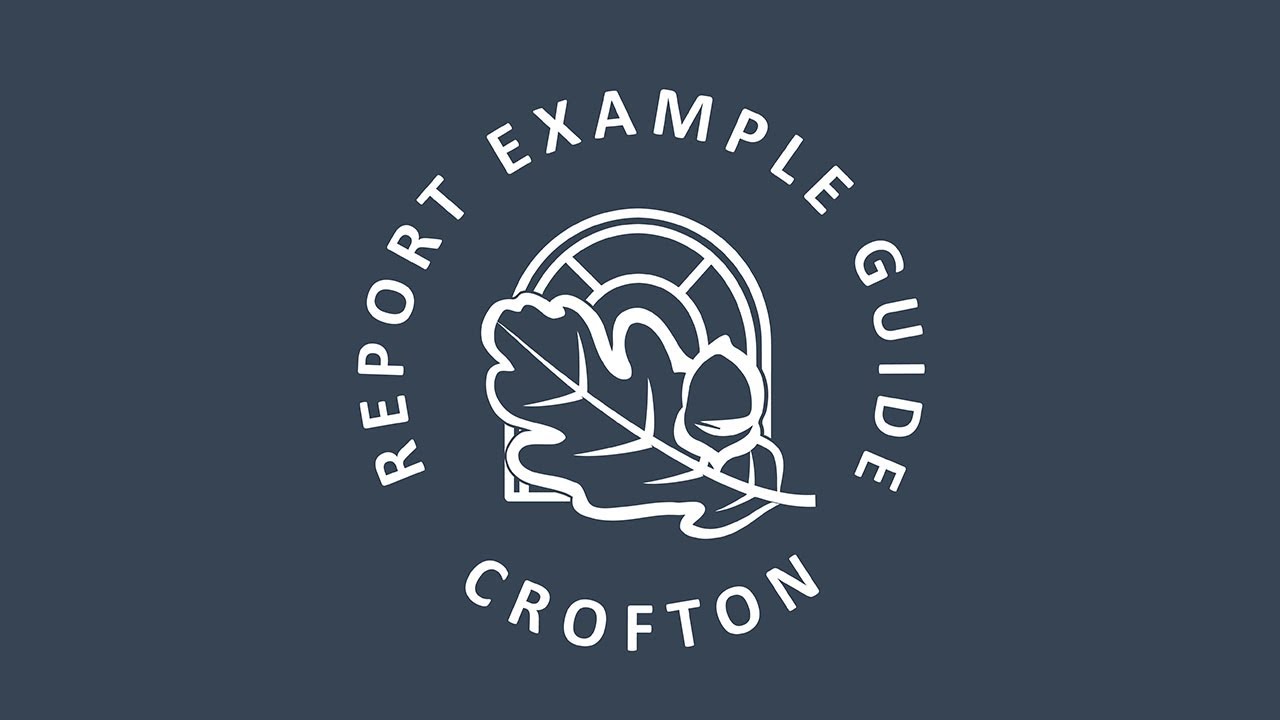 Reports Examples